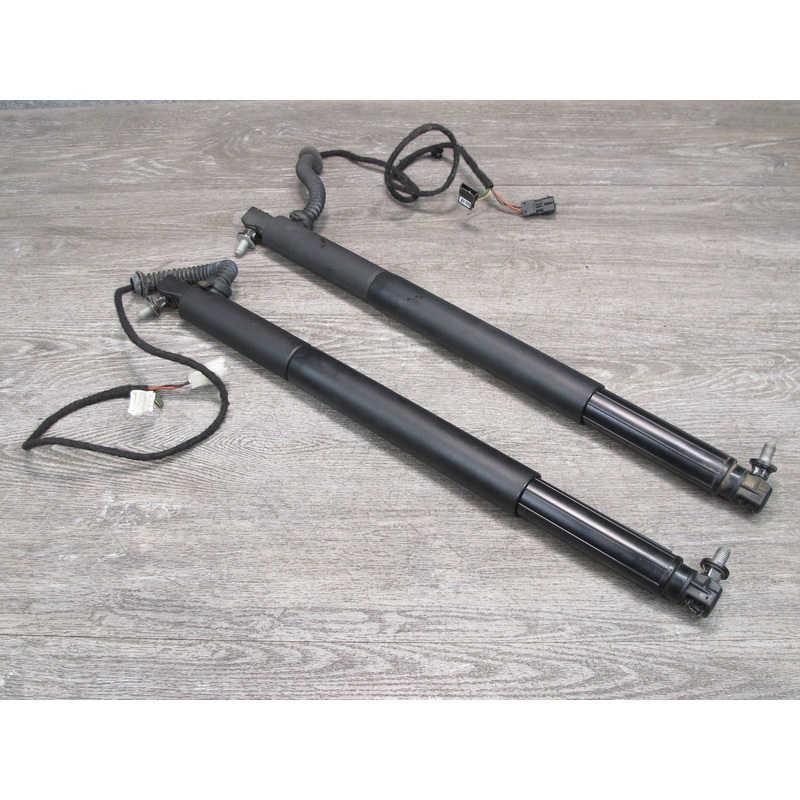 12-14 BMW E71 E72 X6 Set of 2 Rear Left & Right Trunk Tailgate Strut Shock OEM