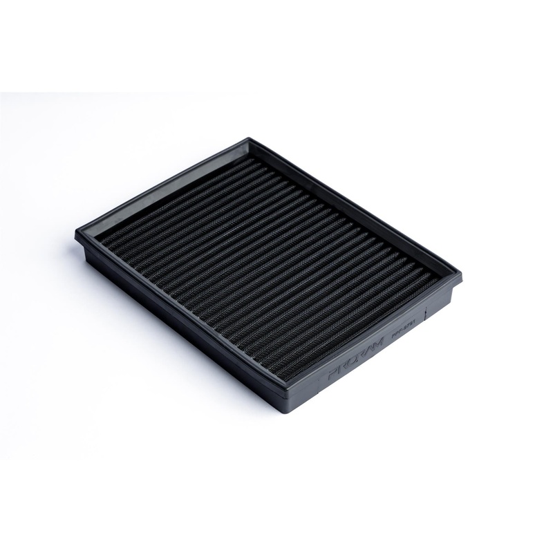 PRORAM PPF-9791 - Mercedes Nissan Replacement Pleated Air Filter
